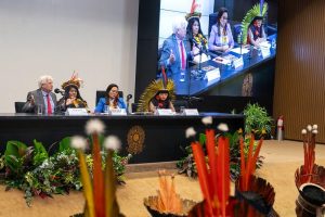 Sônia Guajajara reafirmou que as demarcações de terras indígenas são prioridades do Governo Lula e listou os avanços alcançados nessa área.